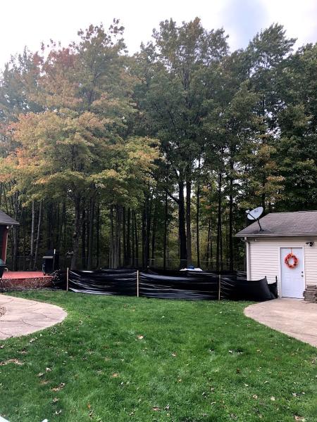 Baird's Tree Service