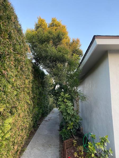 GC Tree Service