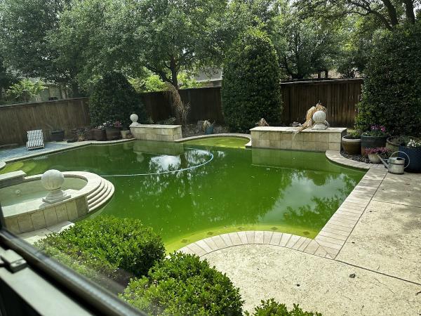 Southlake Pools
