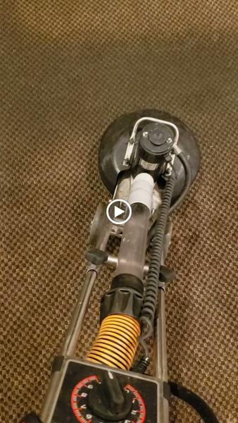 Organic Carpet Cleaning