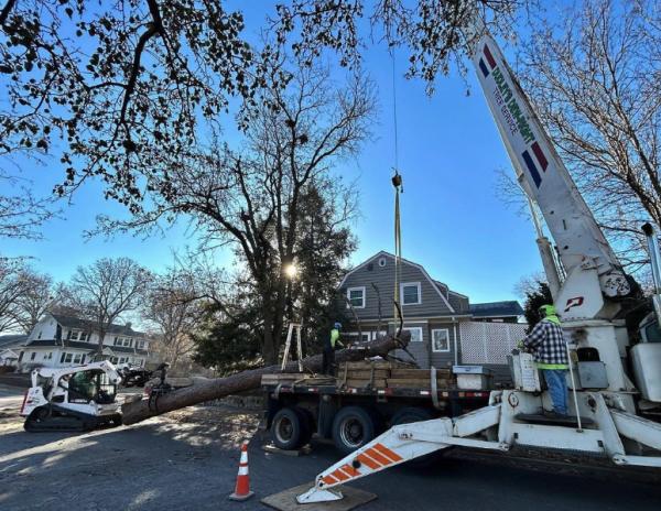 Dudley's Dew-Right Tree & Mulch