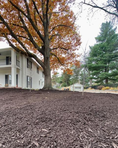 Dudley's Dew-Right Tree & Mulch