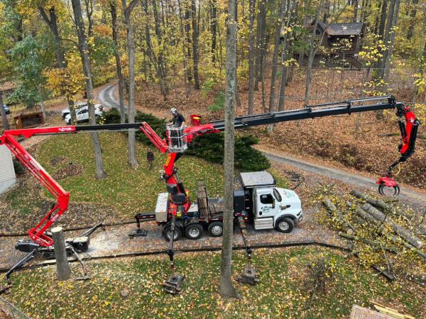 Viking Tree Service