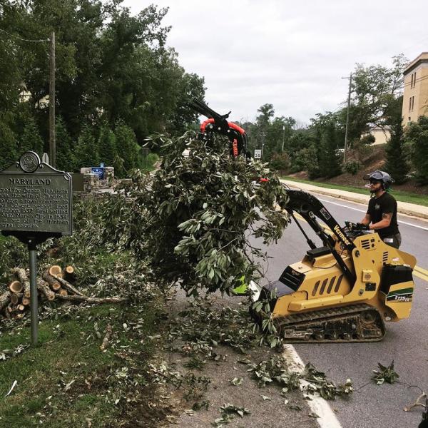 Viking Tree Service