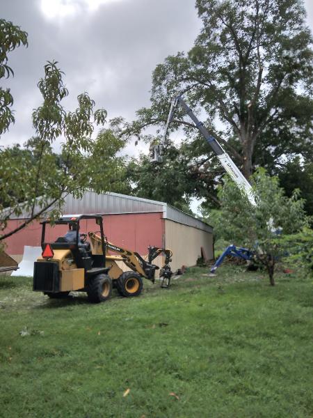 Top Cut Tree Service
