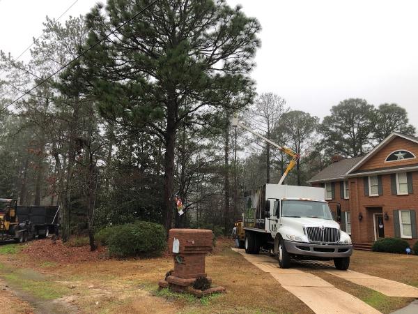Top Cut Tree Service