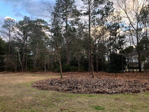 Top Cut Tree Service
