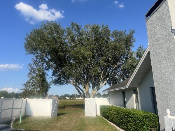 Lakeland Tree Stump Removal