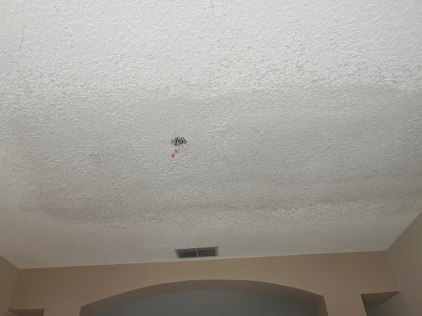 Hole In the Wall Drywall Repair