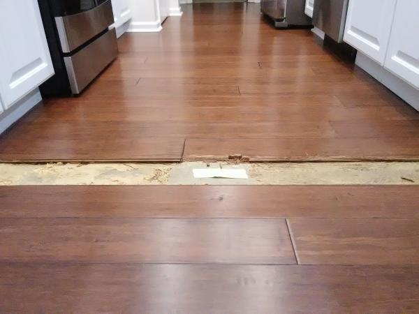 Level Creek Property Restoration