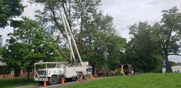 Dry River Tree Service