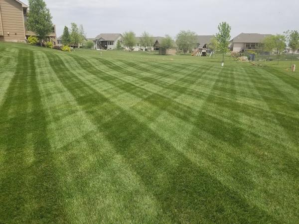 Grass Monkey Lawn Care