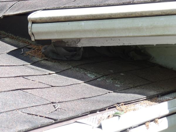 Winning Edge Home Inspections