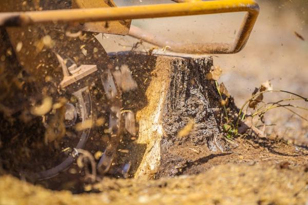 Super Five Stump Removal
