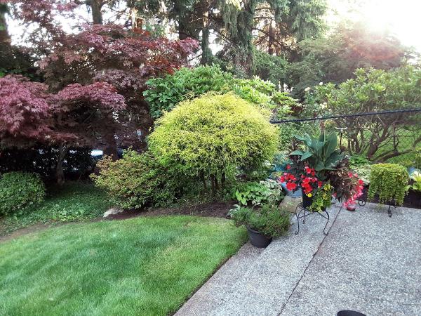 Rooted Landscape Services