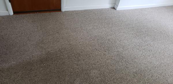 One Cleaning Services