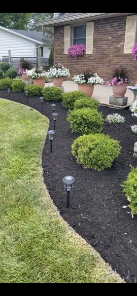 Benchmark Property Maintenance