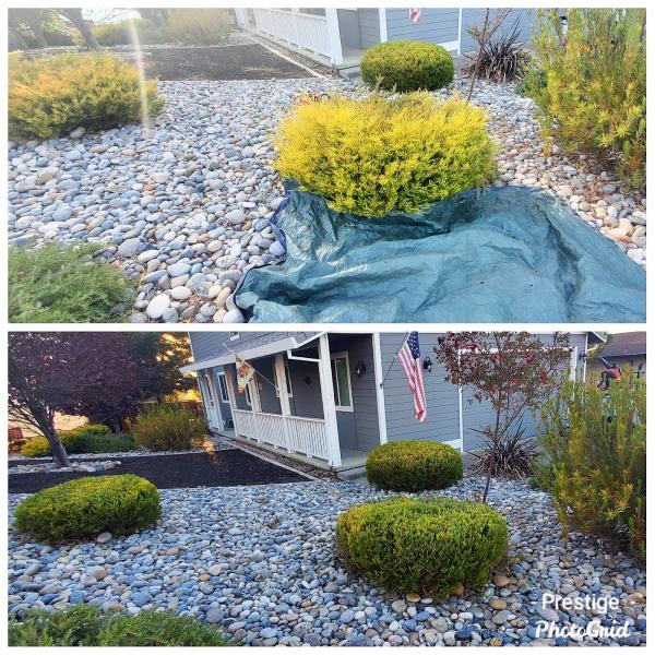 Prestige Landscaping