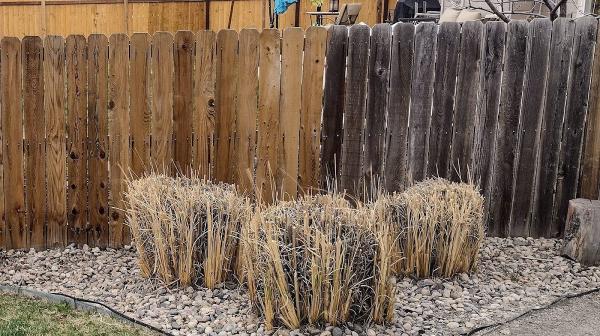 Prime Time Pressure Washing LLC