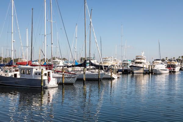 Avalon Group Realty