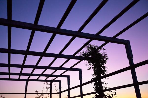 Wetherbee Architecture