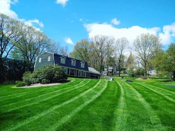 Vielman Landscaping