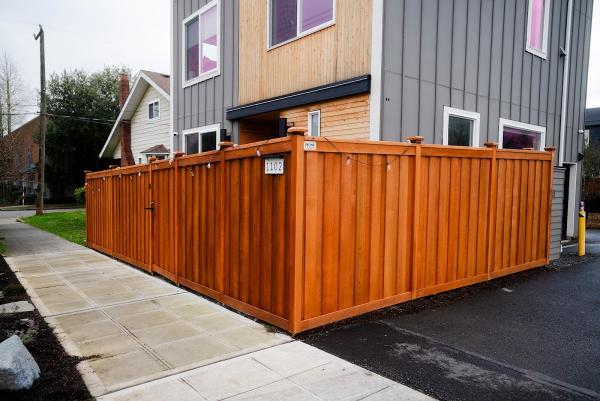Cool Cat Fence