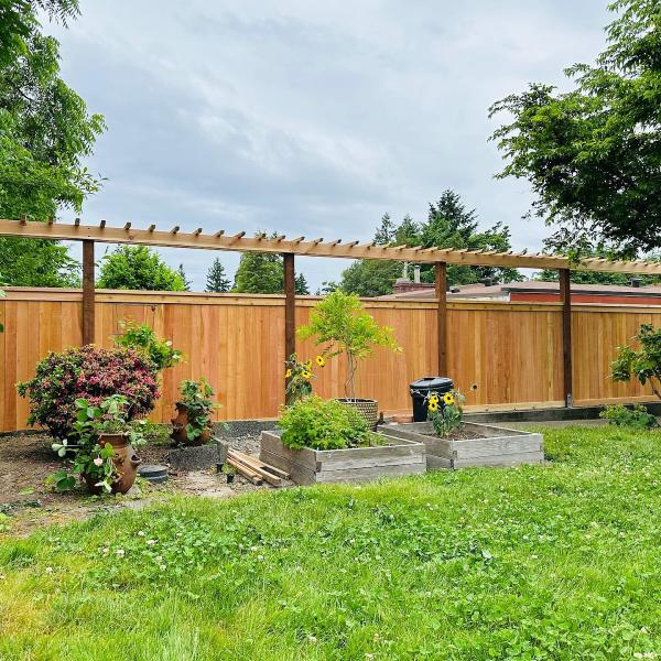Cool Cat Fence