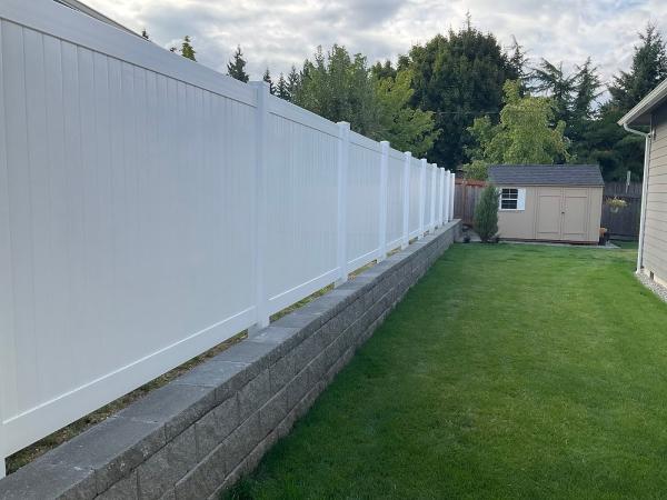 Cool Cat Fence