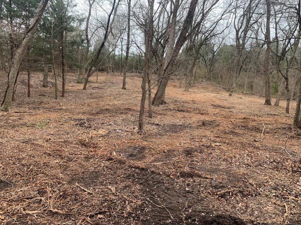 King 3 Tree & Land Services