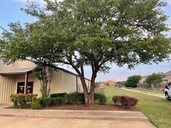 King 3 Tree & Land Services
