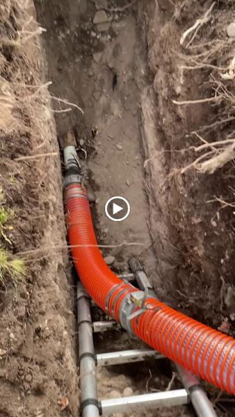 Standard Septic & Drain