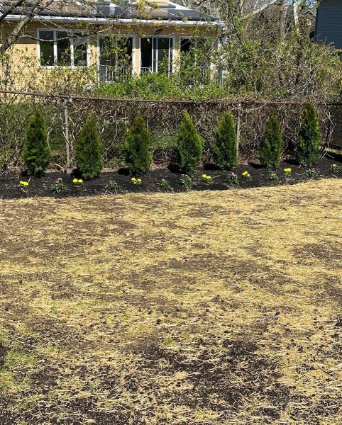 U.S Ortiz Landscaping