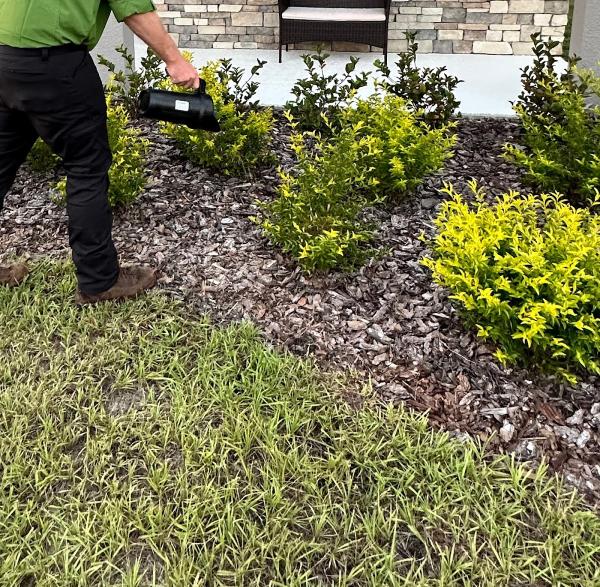 Ecopest Mosquito and Pest Solutions