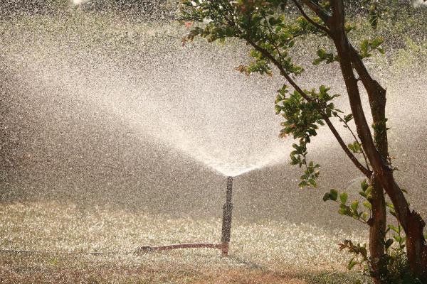 Aaric's Irrigation Repair and Landscaping