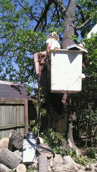 John's Tree Service