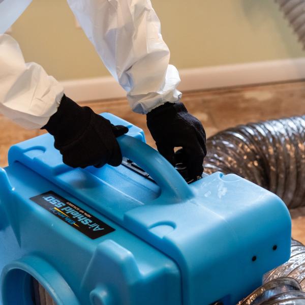 The Mold Removers
