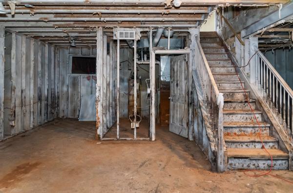 The Mold Removers