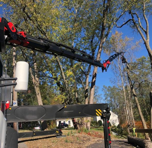 West Hartford Tree Services