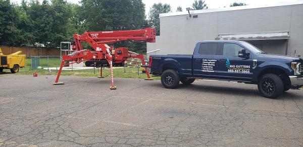 West Hartford Tree Services