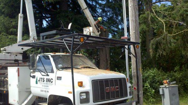 Joaquin's Tree Expert Company