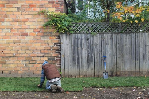 Buffalo Horticulture