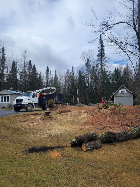 Sargents Tree Service