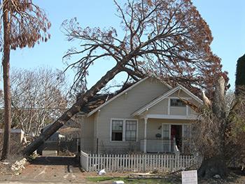 Residential Roofing Services