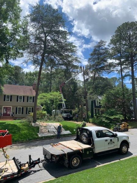 McCormick Tree Care