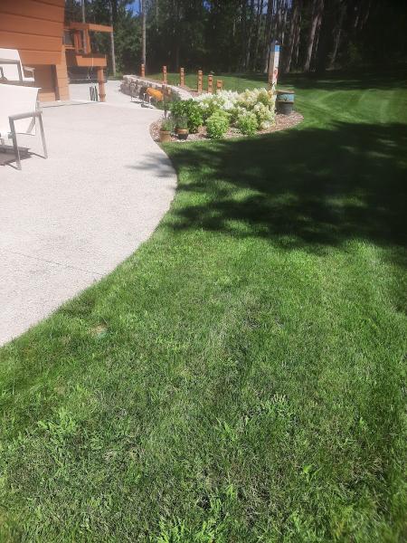 Todd's Lawn Maintenance