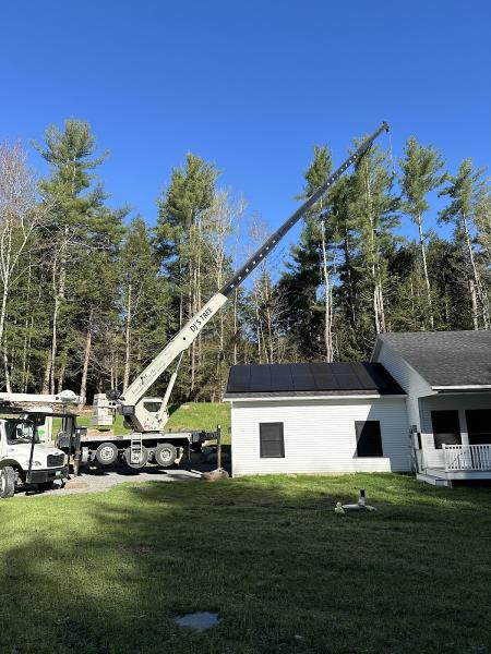 Dj's Tree Service