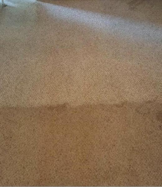 One Way Carpet & Upholstery