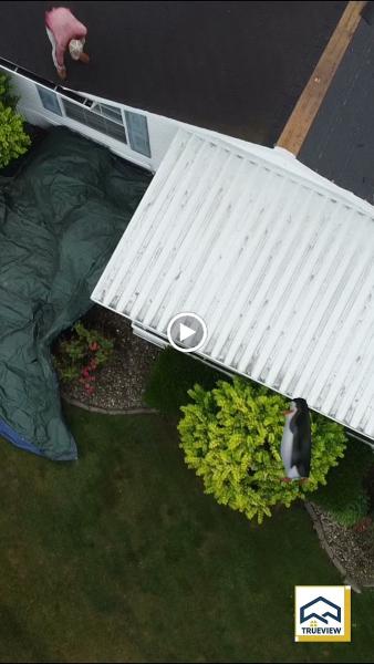 Trueview Exteriors