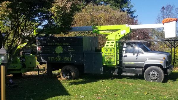 Tree Wise Guys Llc.